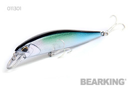 Копия DUO Realis Jerkbait 100SP